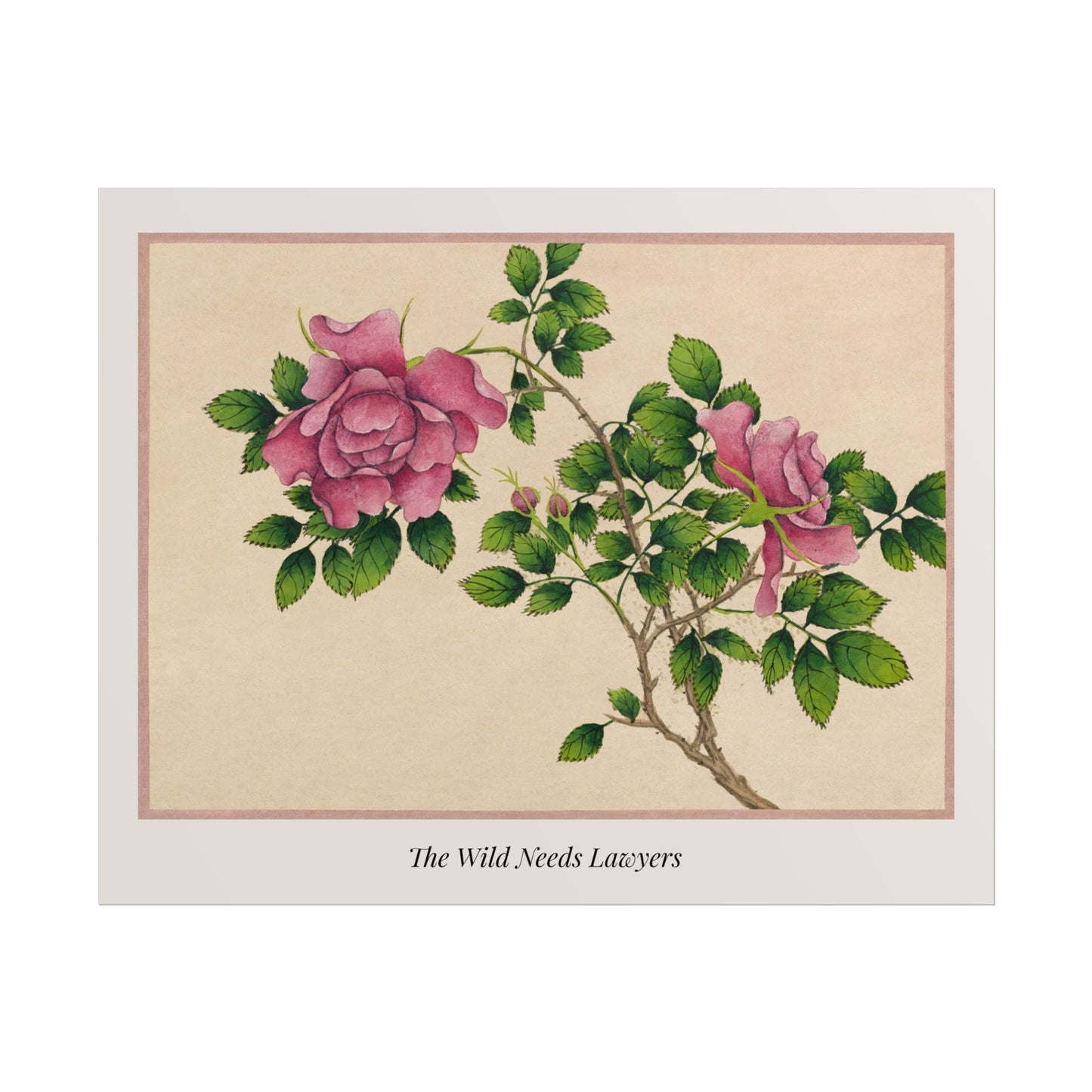 The Wild Needs Lawyers — Botanical Art Print, Vintage Rose Illustration, Environmental Wall Art, Nature Conservation Print, Activist Home Decor