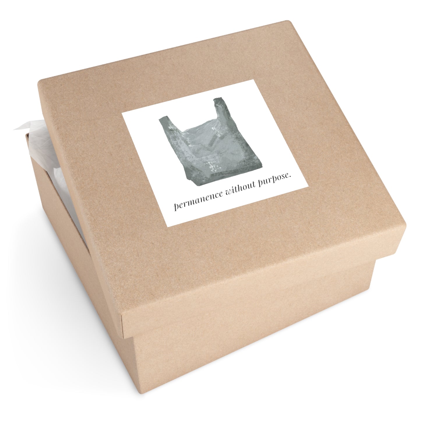 Permanence Without Purpose — Plastic Recycling Bin Sticker