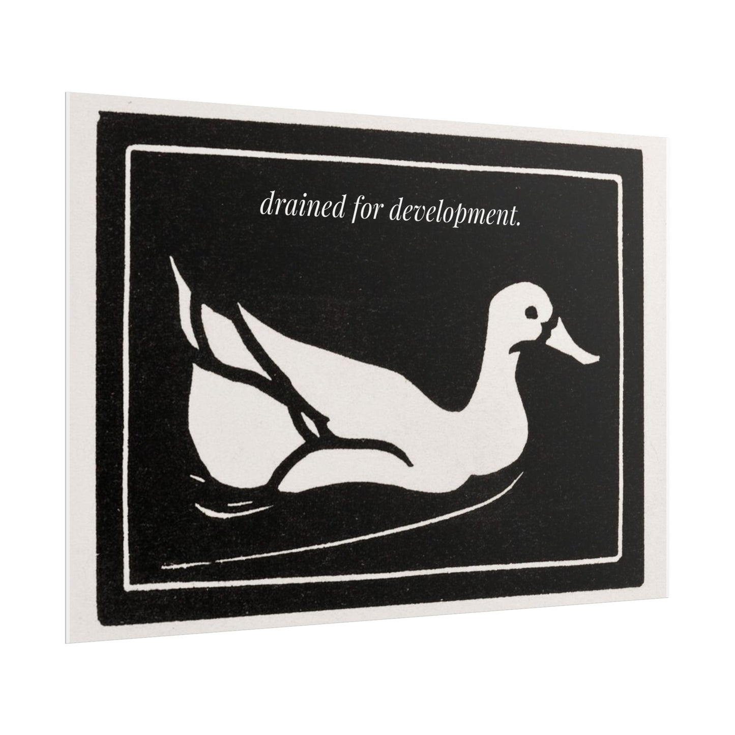 Drained for Development — Activist Art Print