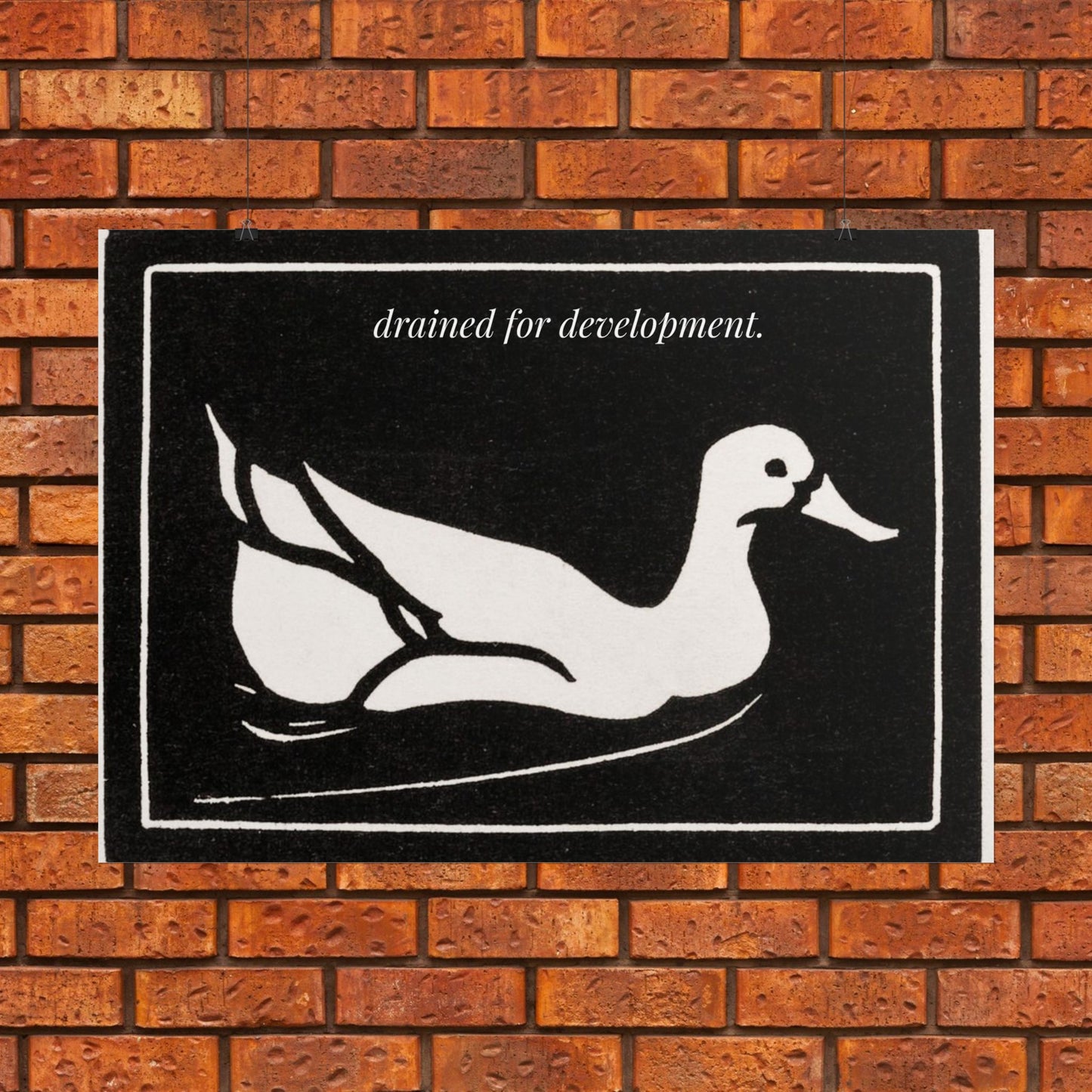Drained for Development — Activist Art Print