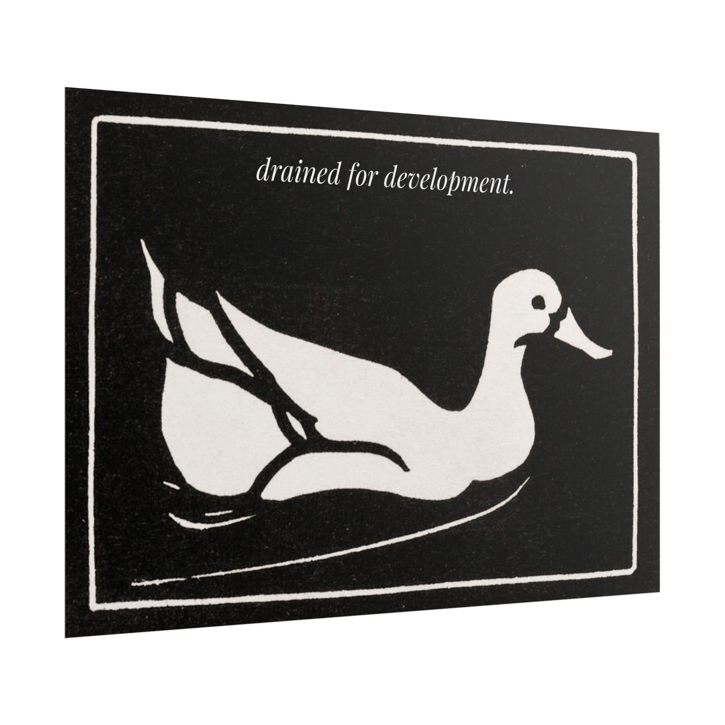 Drained for Development — Activist Art Print