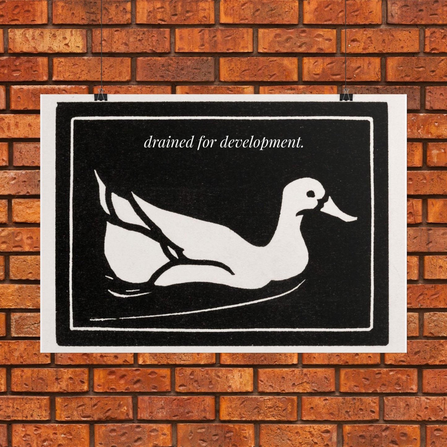Drained for Development — Activist Art Print