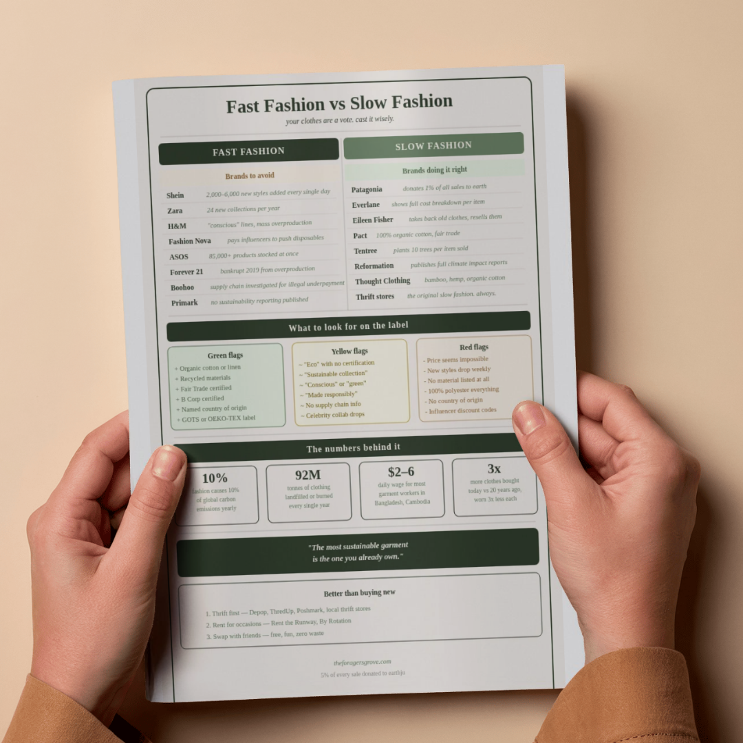 Fast Fashion vs Slow Fashion | Brand Guide + Label Cheat Sheet