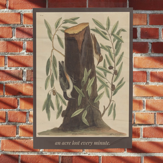 An Acre Lost Every Minute — Botanical Art Print, Vintage Naturalist Illustration, Environmental Wall Art, Deforestation Awareness Print, Conservation Home Decor