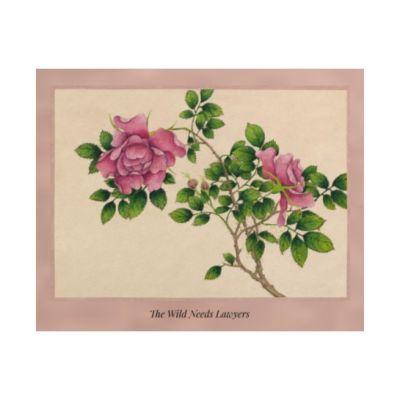 The Wild Needs Lawyers — Botanical Art Print, Vintage Rose Illustration, Environmental Wall Art, Nature Conservation Print, Activist Home Decor