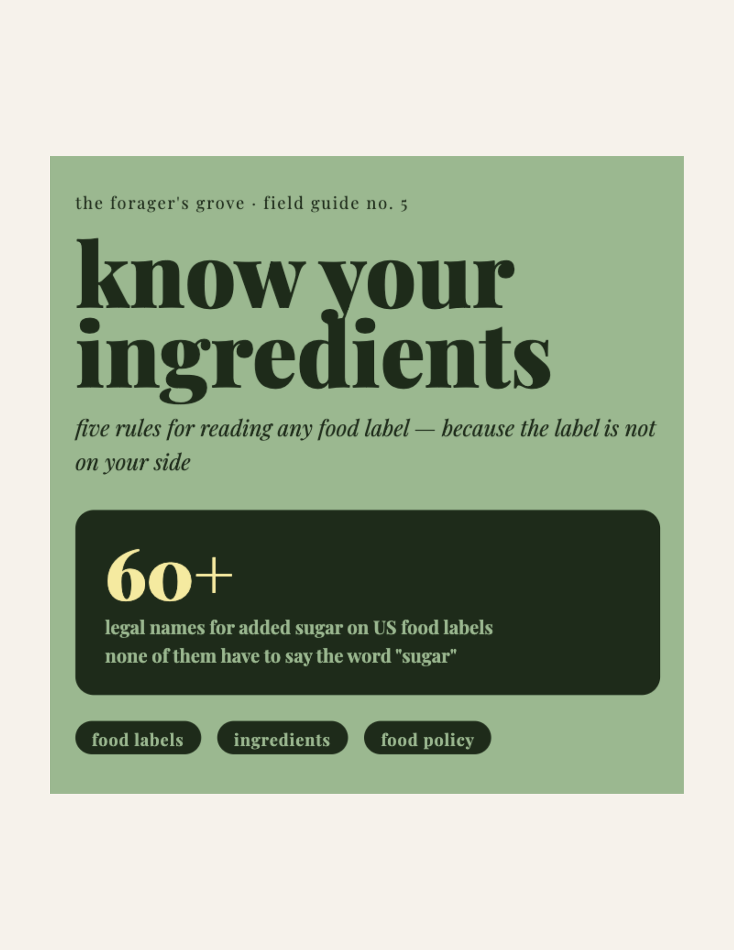 Know Your Ingredients Zine